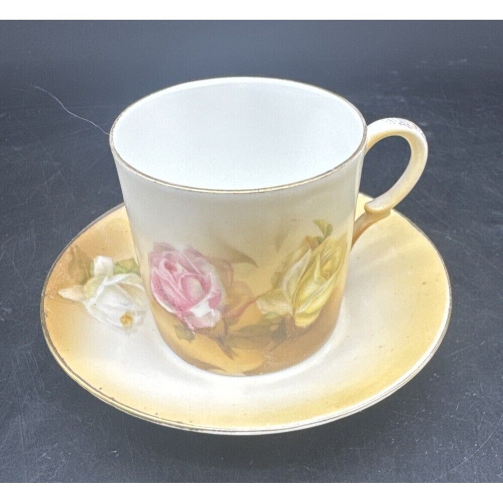 Antique RS Germany Hand Painted‎ FLORAL w/ GOLD Trim Demitasse Cup & Saucer Set